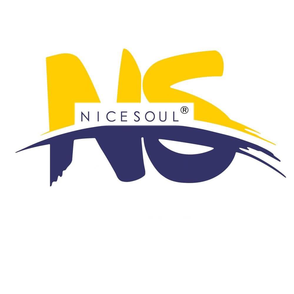 Nicesoul Furniture